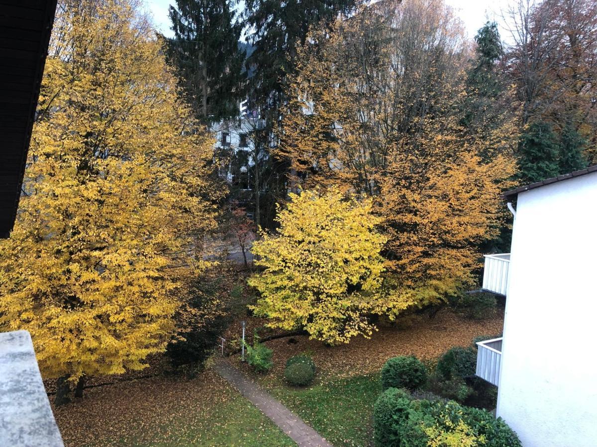 Cozy Apartment Fremersberg For 2 Baden-Baden Dış mekan fotoğraf